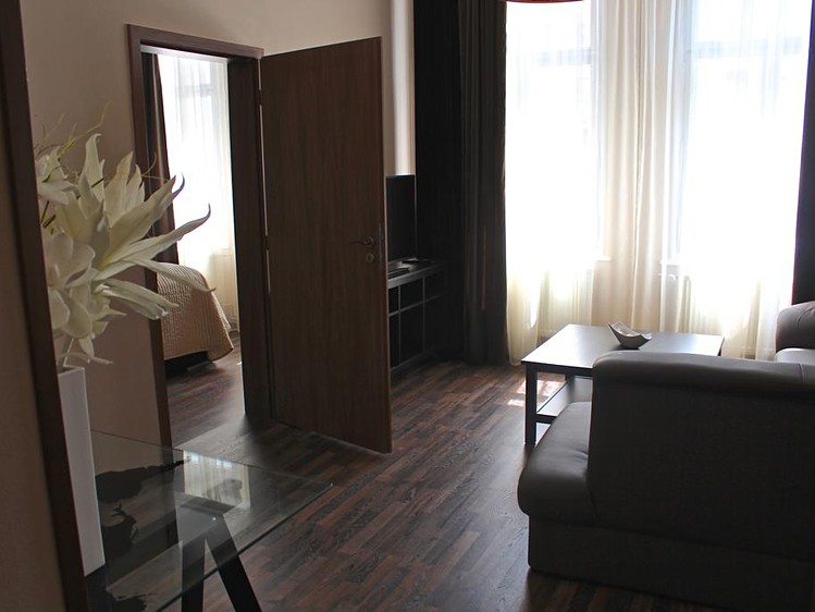 Prodej apartmánů 270 m² - foto 8
