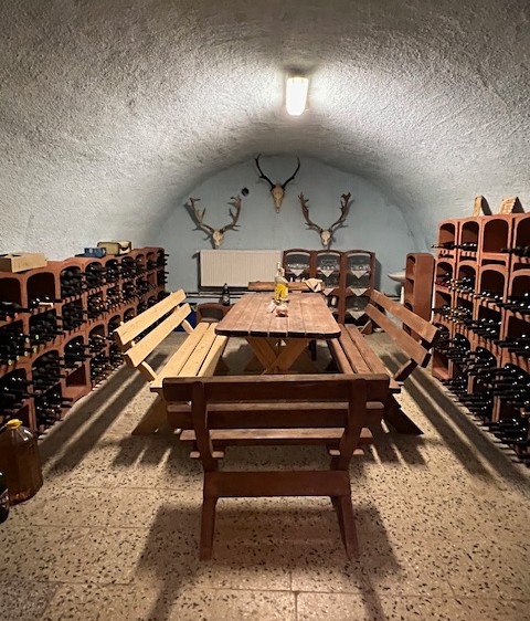 Prodej ubytovacího zařízení 1 787 m² - foto 5