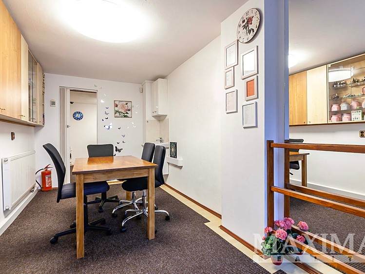 Prodej obchodního prostoru 300 m² - foto 4