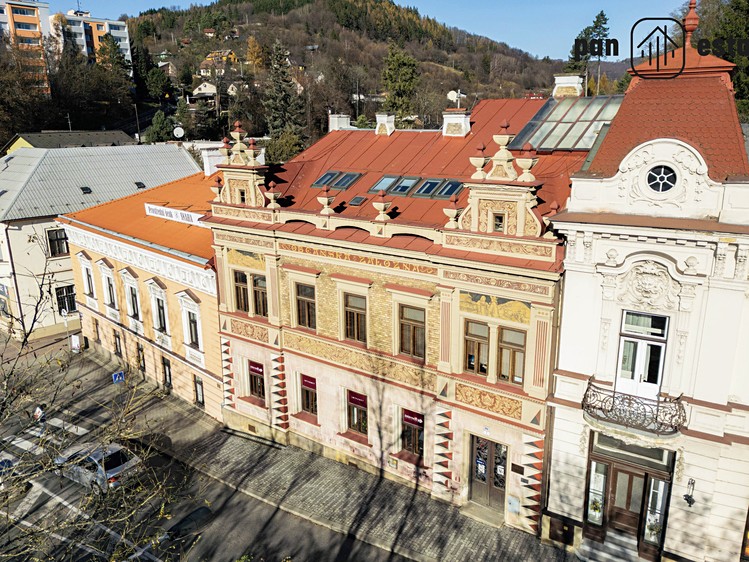 Prodej obchodního prostoru 460 m² - foto 4