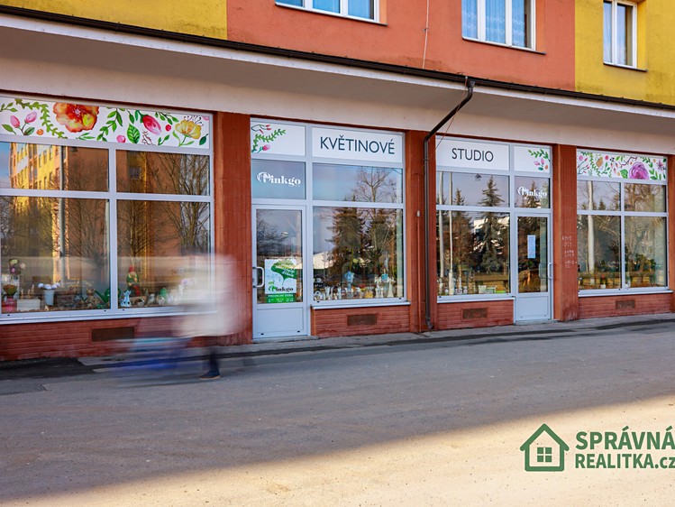 Prodej obchodního prostoru 126 m² - foto 4