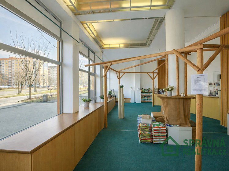 Prodej obchodního prostoru 126 m² - foto 6