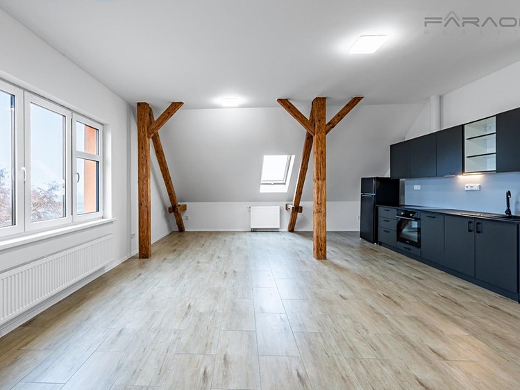 Prodej činžovního domu 550 m² - foto 3