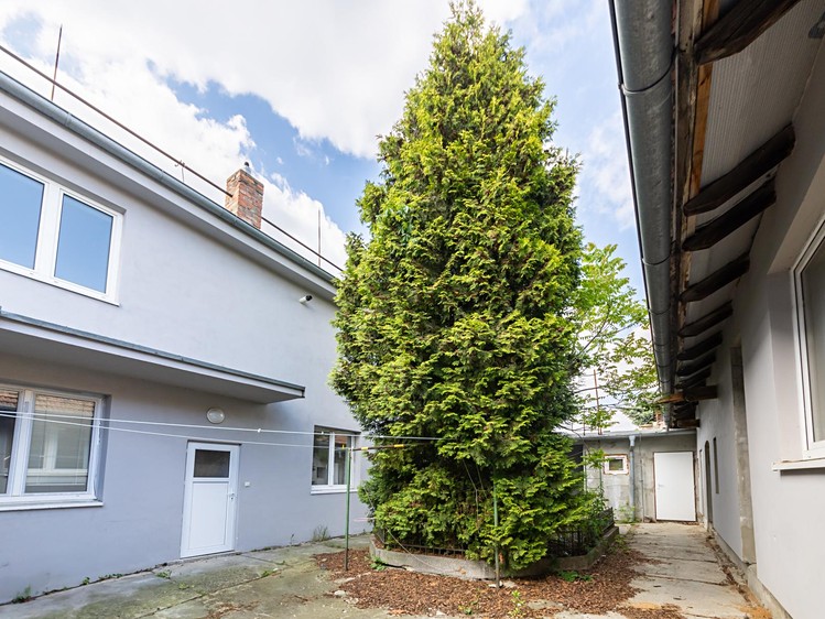 Prodej činžovního domu 256 m² - foto 4