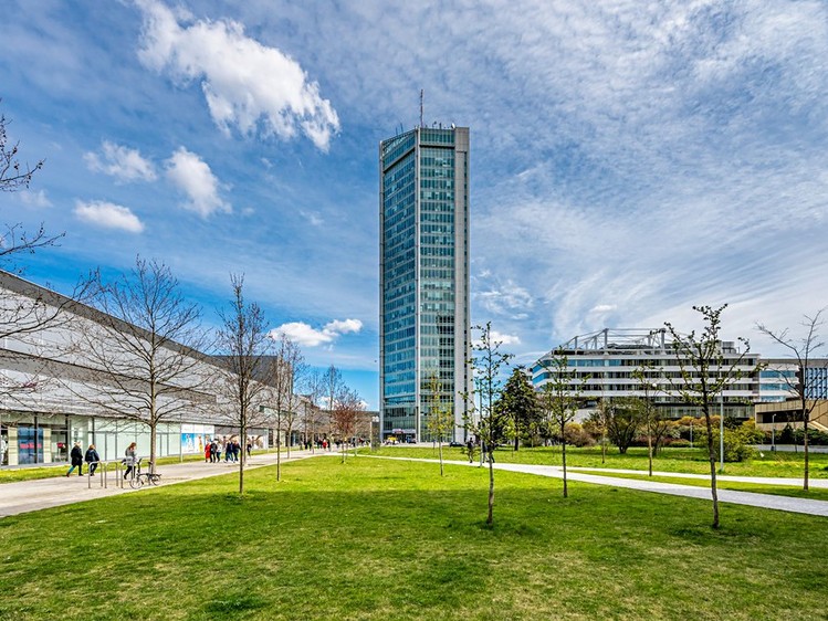 Pronájem kanceláře 266 m² - foto 1