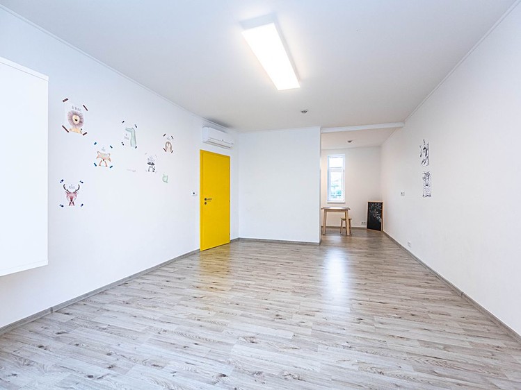 Pronájem komerční nemovitosti 280 m² - foto 8