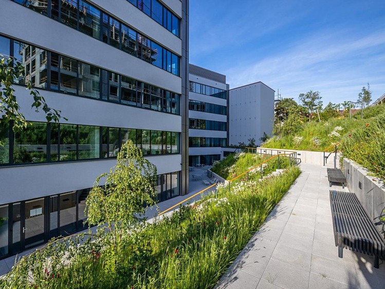Pronájem kanceláře 60 m² - foto 4