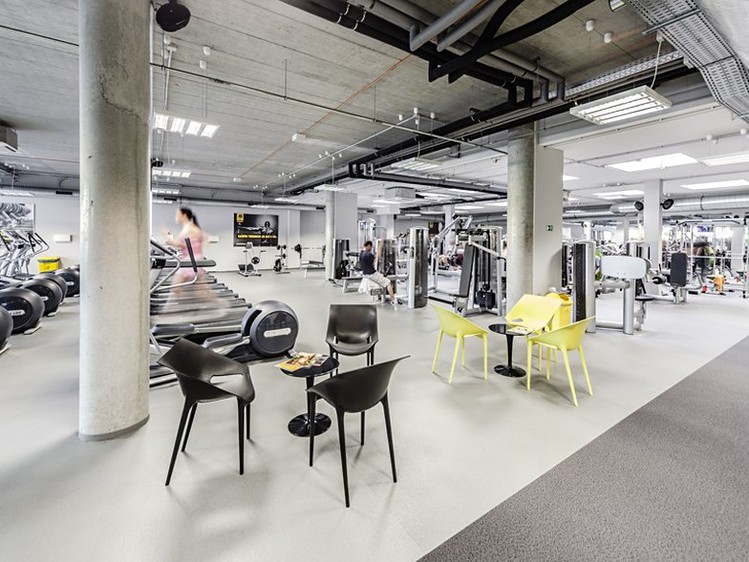 Pronájem kanceláře 239 m² - foto 8