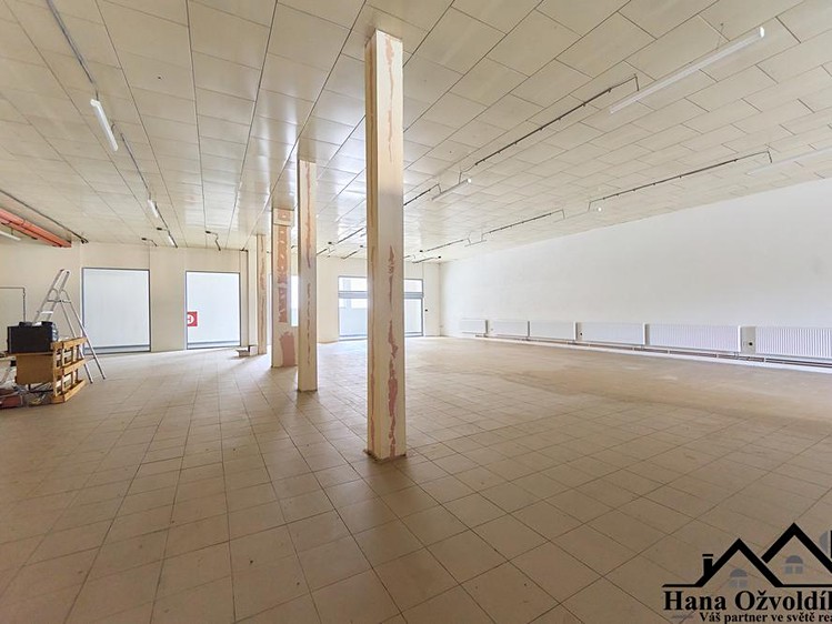 Pronájem obchodního prostoru 450 m² - foto 5