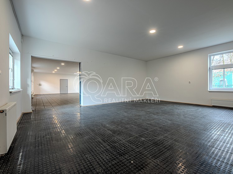 Pronájem obchodního prostoru 252 m² - foto 5