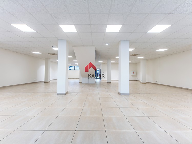Pronájem obchodního prostoru 470 m² - foto 4