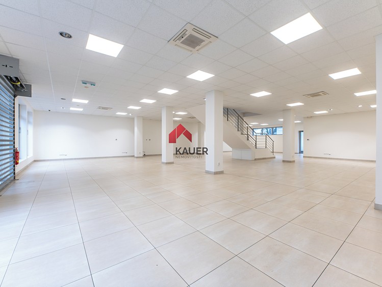 Pronájem obchodního prostoru 470 m² - foto 5