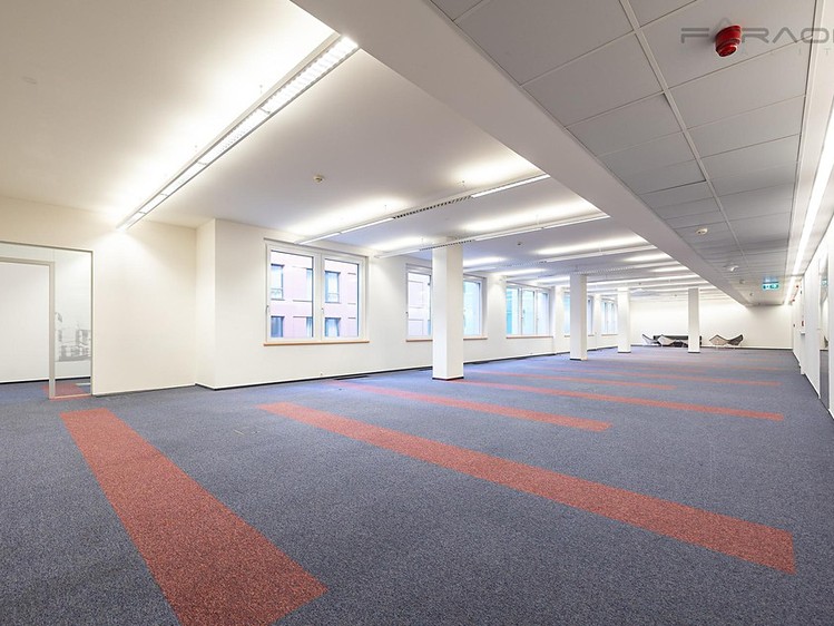 Pronájem kanceláře 295 m² - foto 6