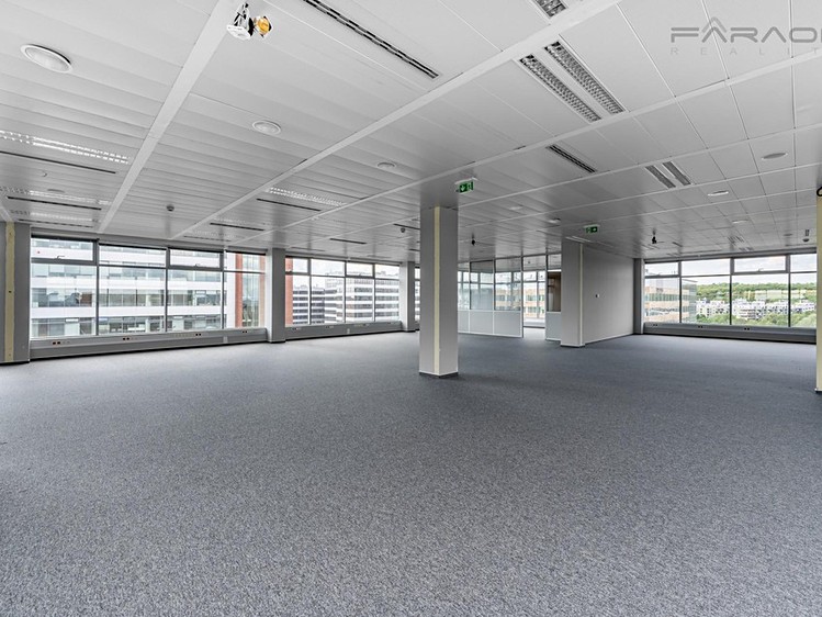 Pronájem kanceláře 649 m² - foto 6