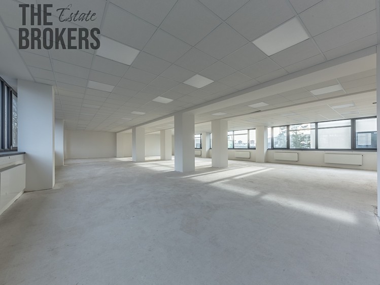 Pronájem kanceláře 375 m² - foto 5