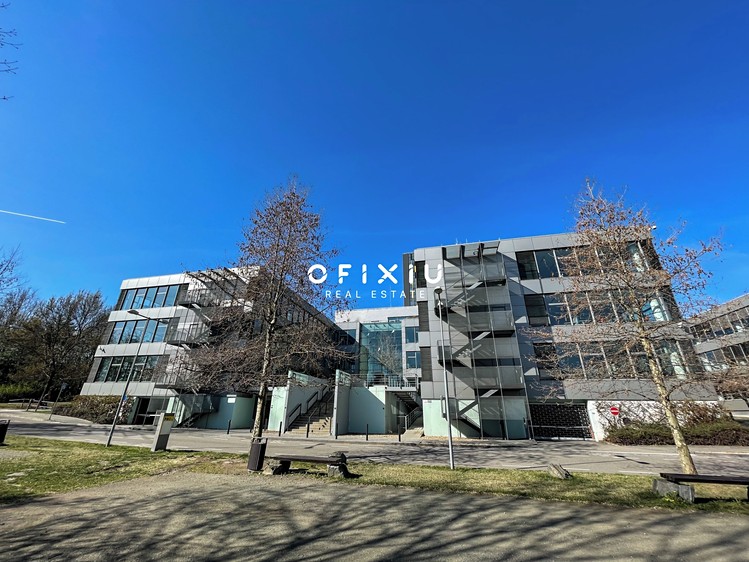 Pronájem kanceláře 500 m² - foto 3