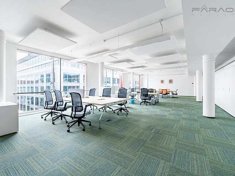 Pronájem kanceláře 488 m² - foto 4