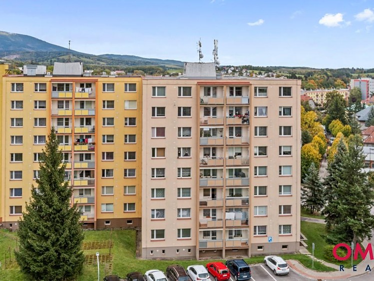 Prodej bytu 3+1 76 m² - foto 4