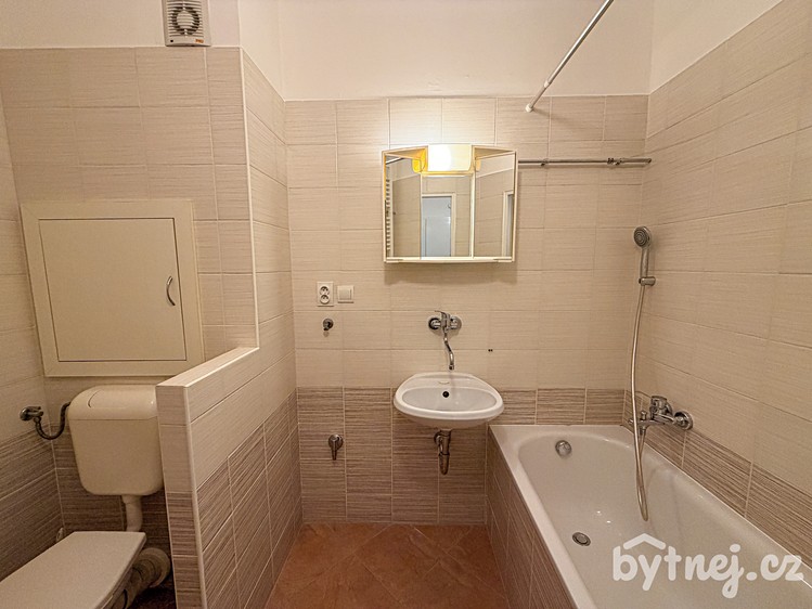 Pronájem bytu 1+kk 38 m² - foto 8