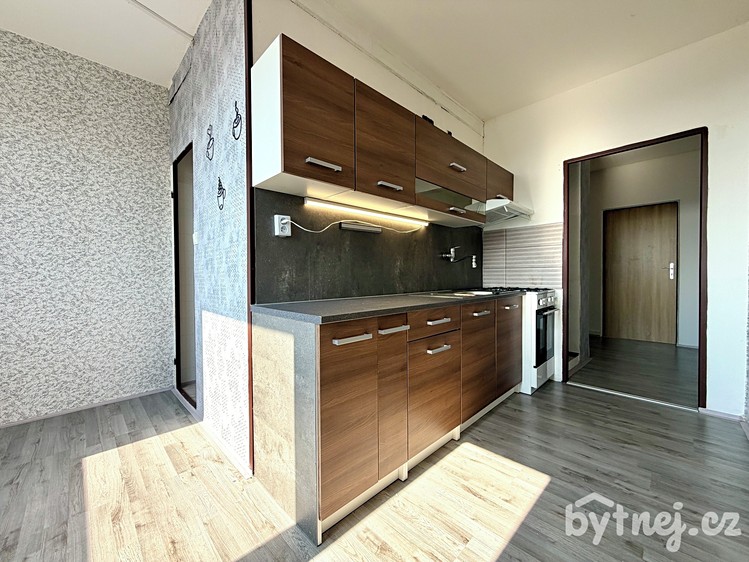 Pronájem bytu 3+1 72 m² - foto 4