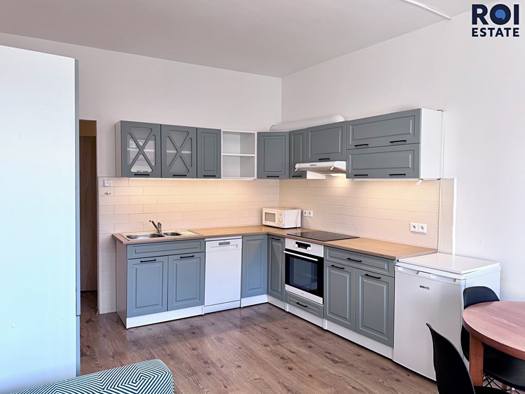 Pronájem bytu 3+kk 48 m² - foto 1