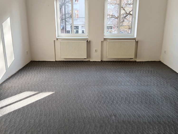 Pronájem bytu 2+1 99 m² (Jednopodlažní) - foto 6