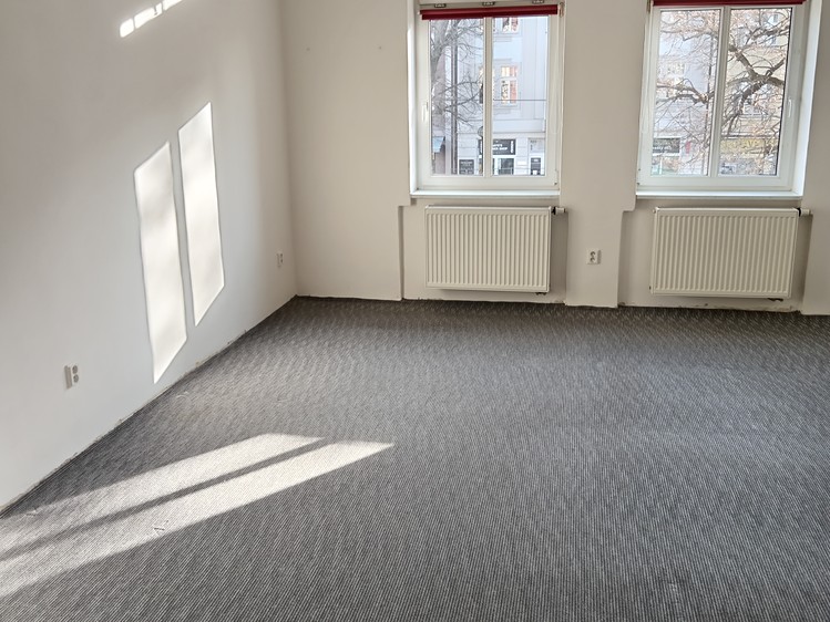 Pronájem bytu 2+1 99 m² (Jednopodlažní) - foto 7