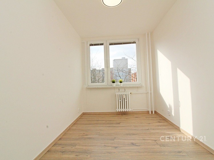 Pronájem bytu 3+kk 53 m² - foto 3