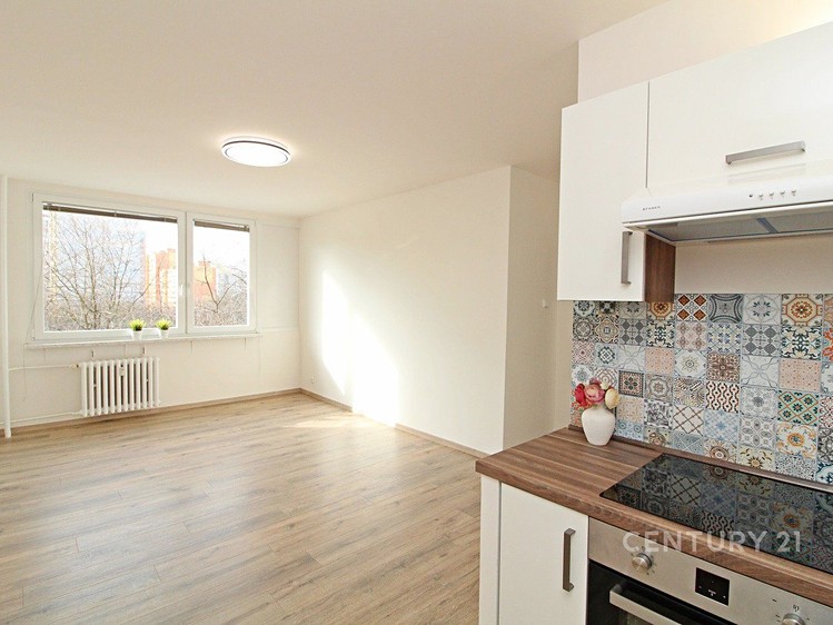 Pronájem bytu 3+kk 53 m² - foto 6
