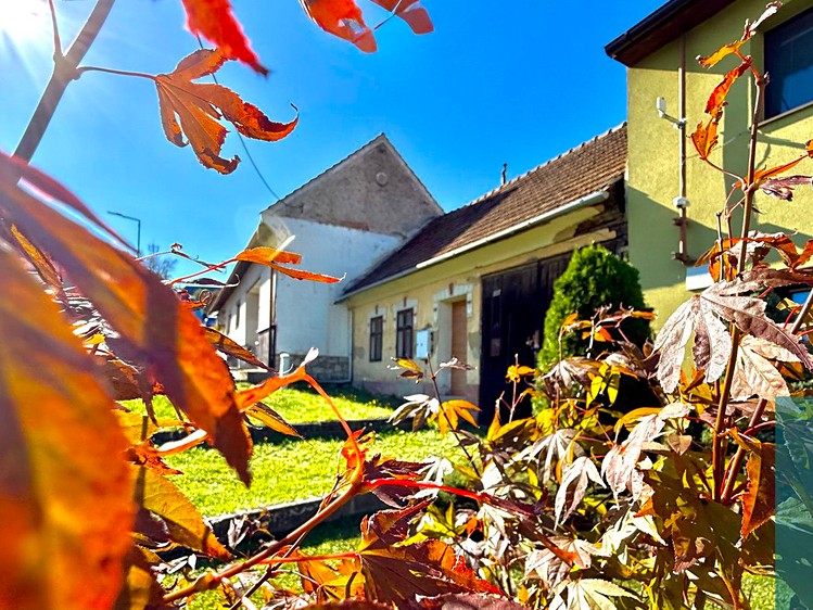 Prodej rodinného domu 91 m², pozemek 855 m² - foto 5