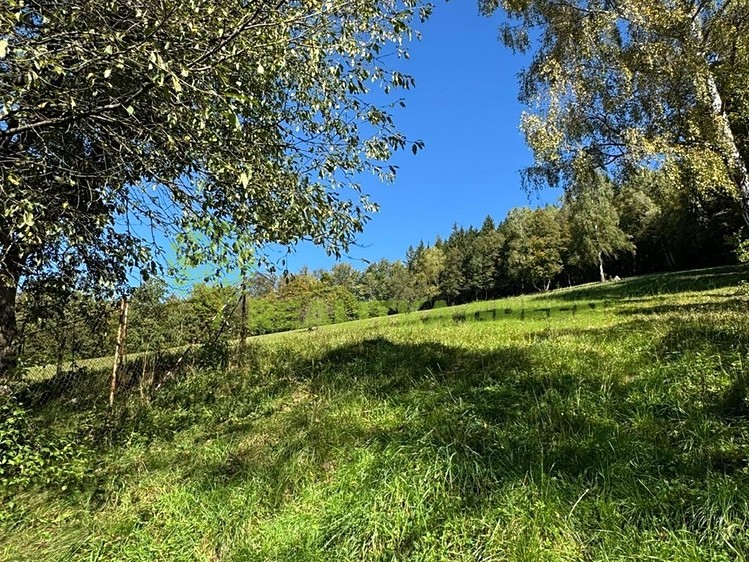 Prodej rodinného domu 200 m², pozemek 992 m² - foto 8