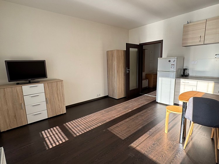 Pronájem bytu 1+kk 35 m² - foto 4