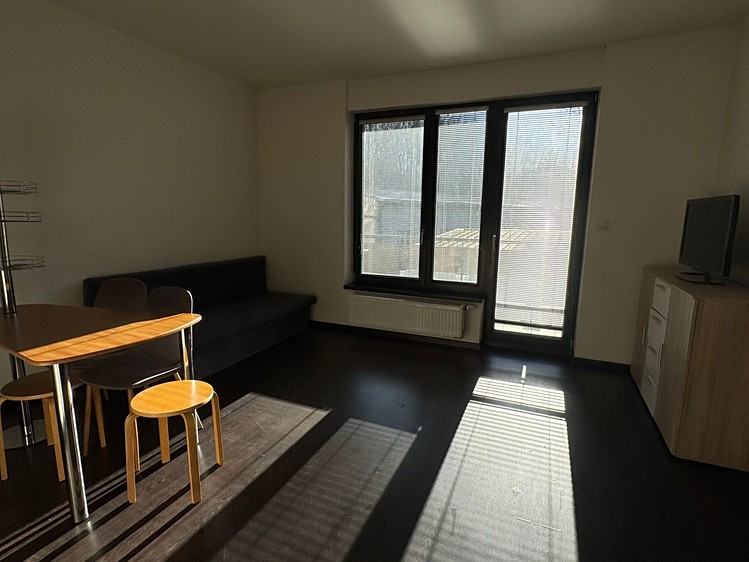 Pronájem bytu 1+kk 35 m² - foto 5