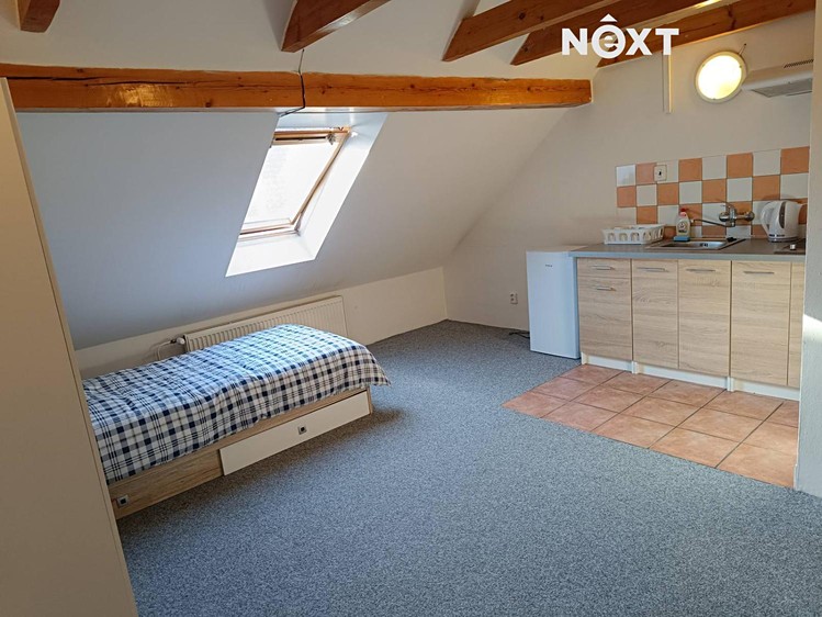 Pronájem bytu 1+kk 24 m² (Podkrovní) - foto 1