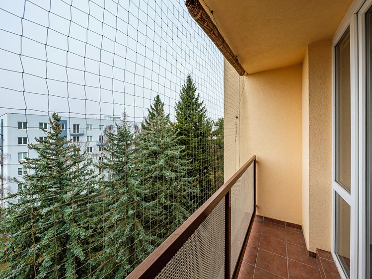 Pronájem bytu 1+1 40 m² - foto 4