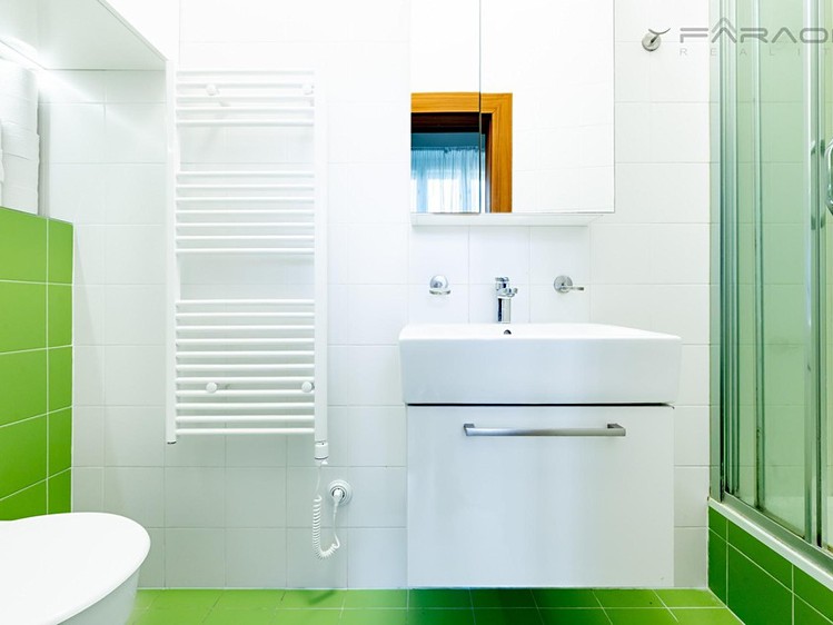 Pronájem bytu 1+1 29 m² - foto 5