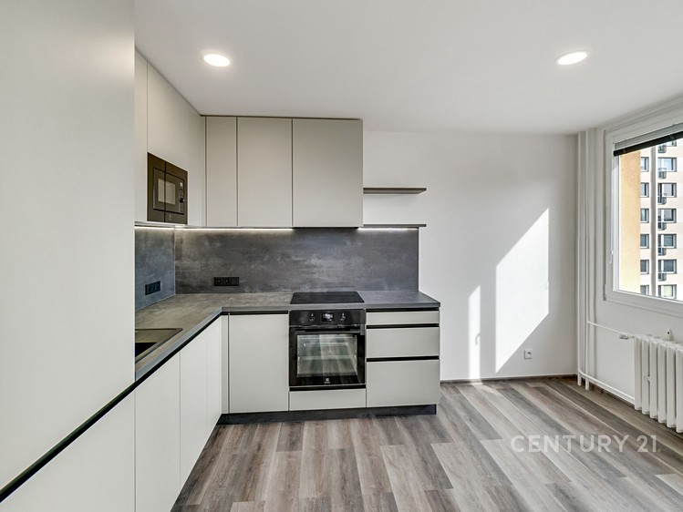 Pronájem bytu 3+1 68 m² - foto 2