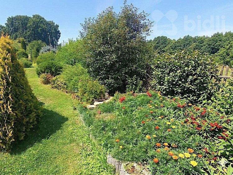 Prodej  chaty 28 m², pozemek 595 m² - foto 4