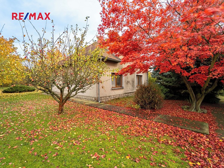 Prodej rodinného domu 190 m², pozemek 995 m² - foto 4