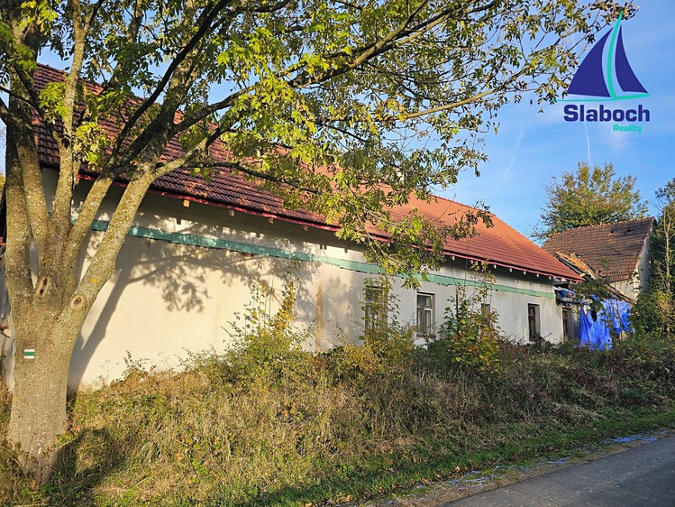 Prodej  rodinného domu 300 m², pozemek 2 784 m² - foto 4