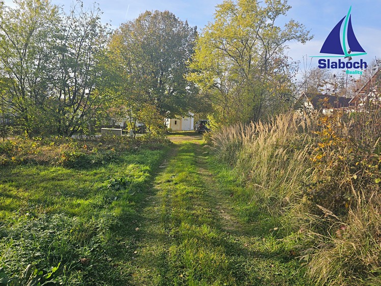 Prodej  rodinného domu 300 m², pozemek 2 784 m² - foto 5