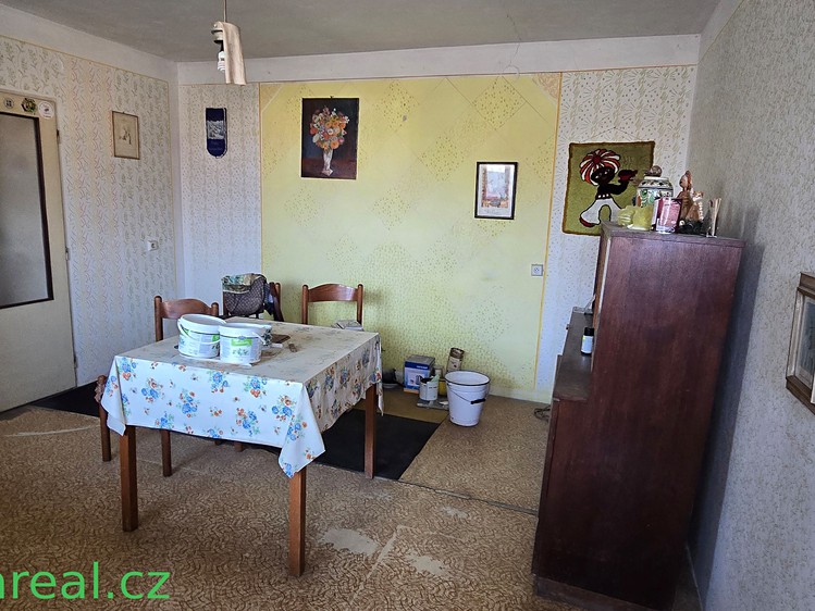 Prodej rodinného domu 120 m², pozemek 423 m² - foto 5