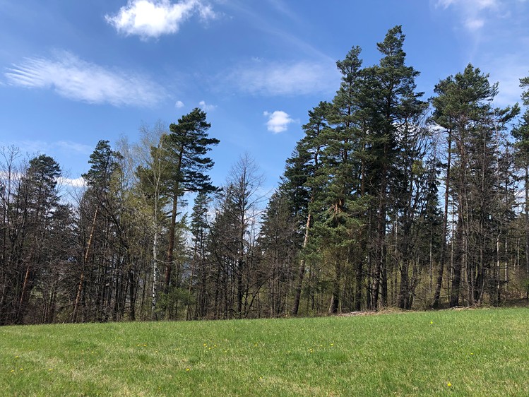 Prodej zemědělské usedlosti 260 m², pozemek 246 861 m² - foto 4