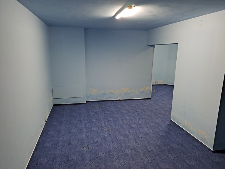 Prodej rodinného domu 540 m², pozemek 2 925 m² - foto 6