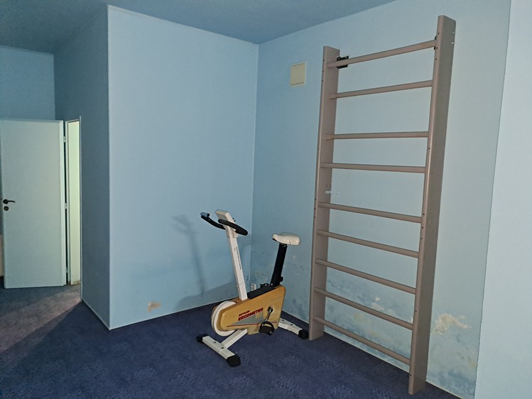 Prodej rodinného domu 540 m², pozemek 2 925 m² - foto 7