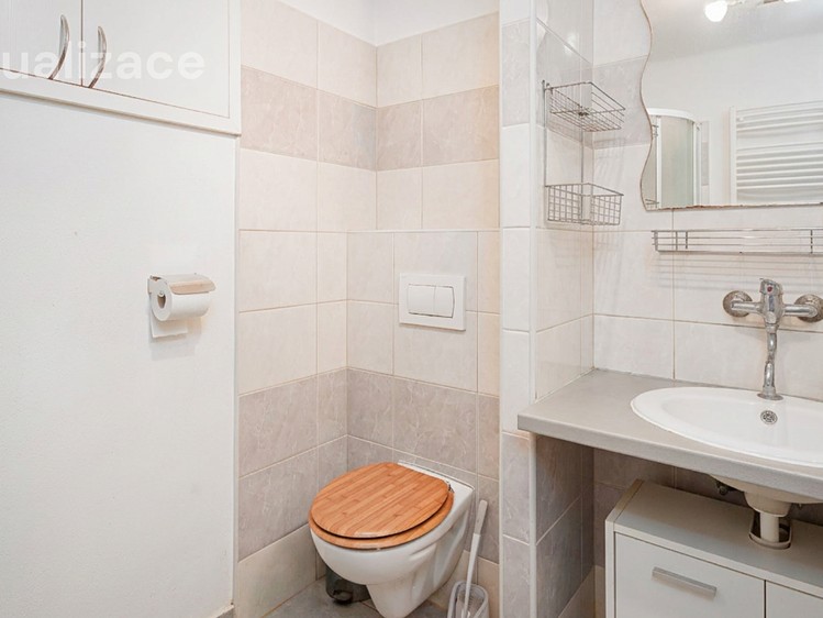 Prodej rodinného domu 266 m², pozemek 3 343 m² - foto 5
