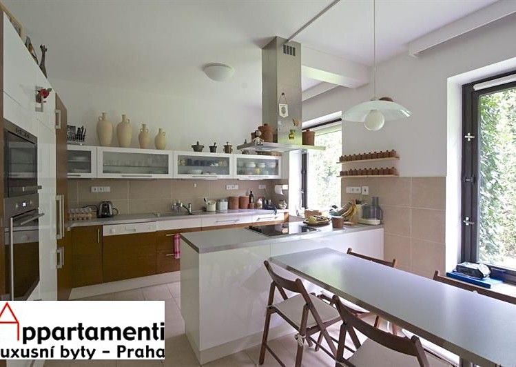 Pronájem rodinného domu 417 m², pozemek 999 m² - foto 5