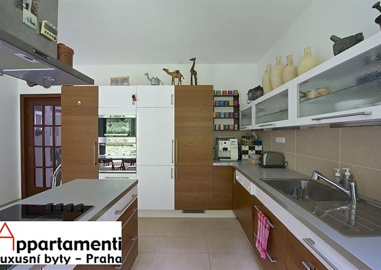 Pronájem rodinného domu 417 m², pozemek 999 m² - foto 6