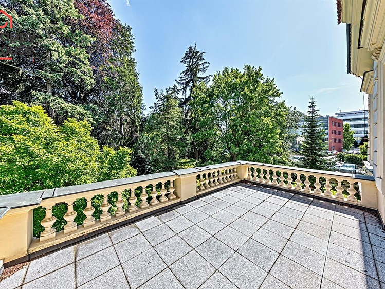 Pronájem vily 827 m², pozemek 8 770 m² - foto 4