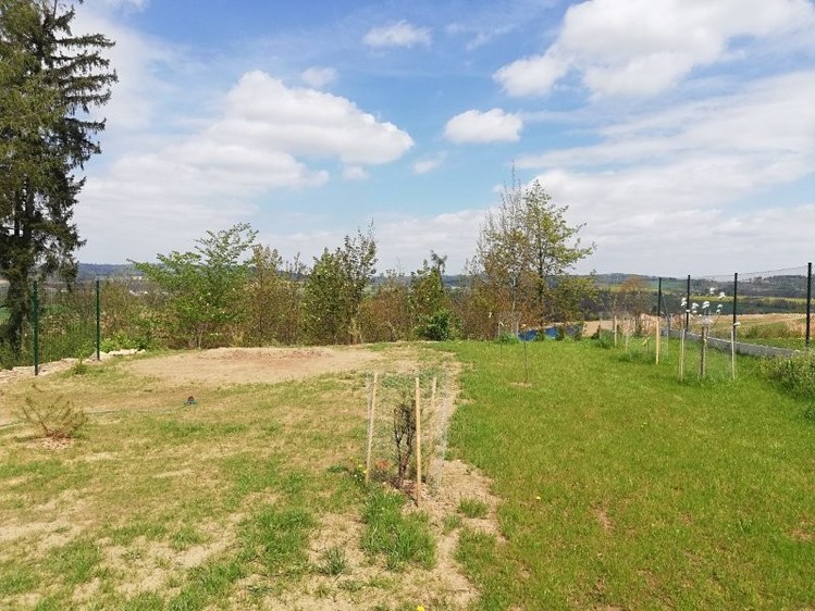 Pronájem rodinného domu 160 m², pozemek 670 m² - foto 6